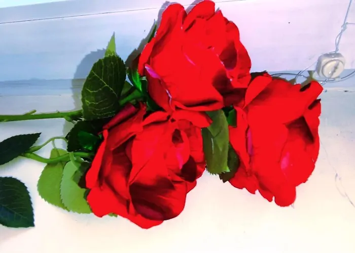 Casa De Sus Дом отдыха Брашов