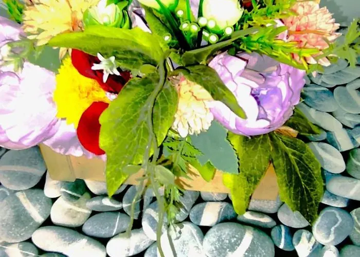 Casa De Sus Брашов