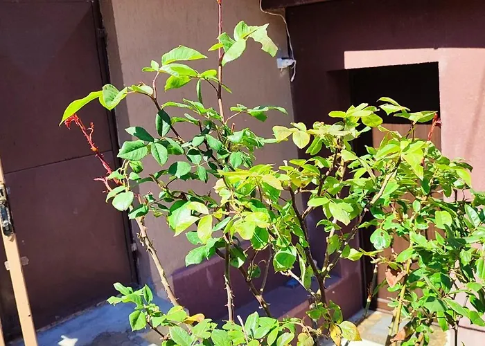 Casa De Sus * Брашов